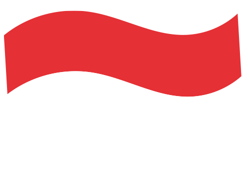 インドネシア特化